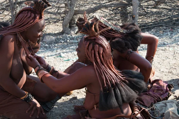 Grupo Mujeres Tribu Himba Trenzándose Pelo Namibia —  Fotos de Stock